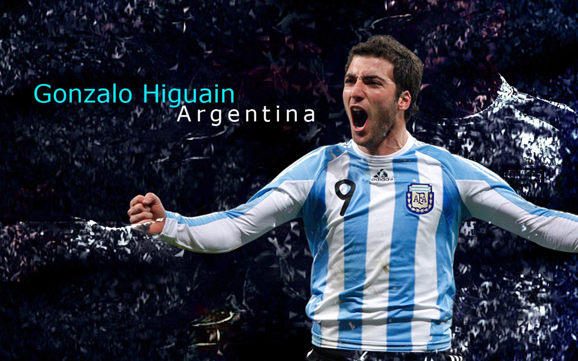 开云体育娱乐-葡萄牙马术协会推出马术运动员健康管理系统，关注运动员身心健康。